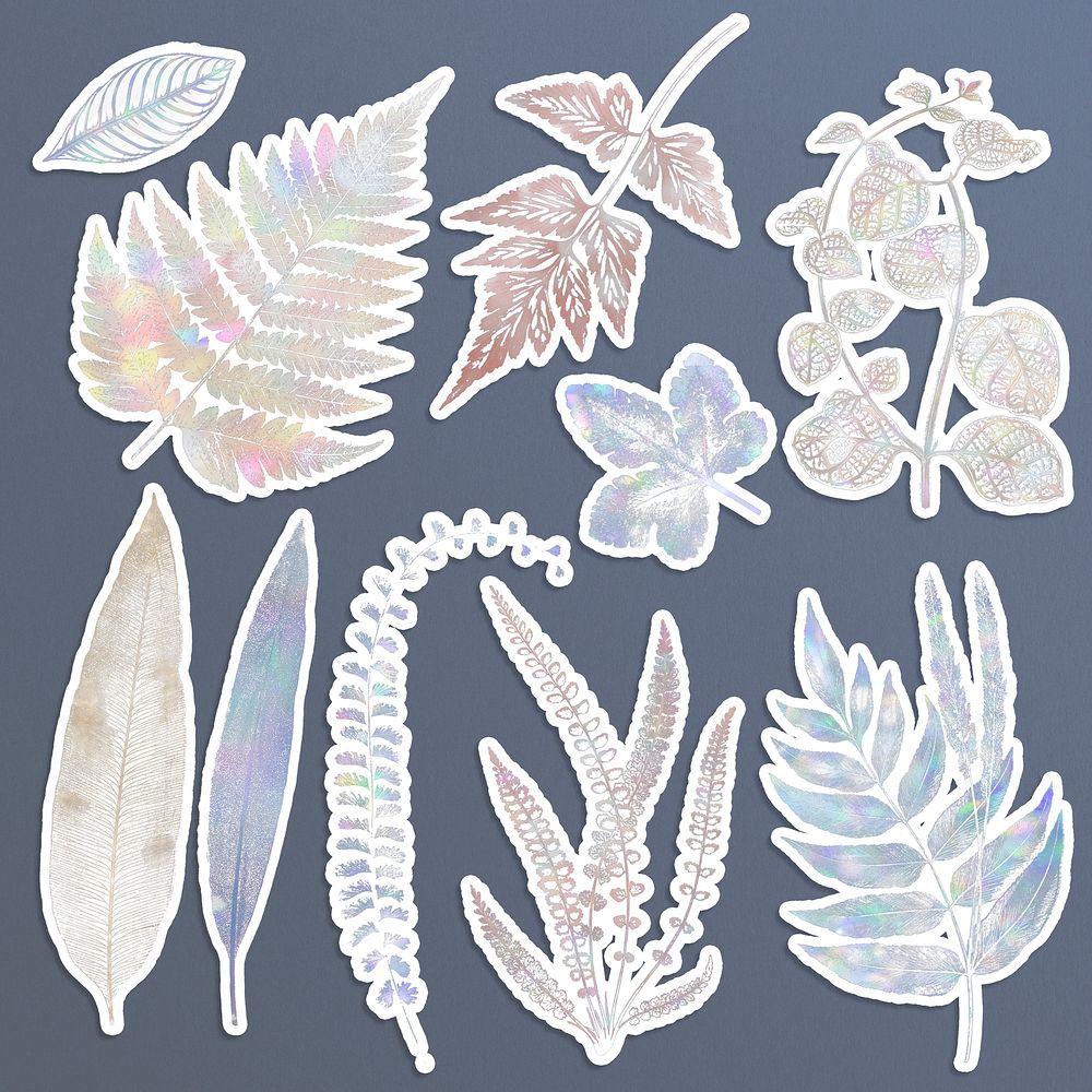 Holographic fern sticker set design resources