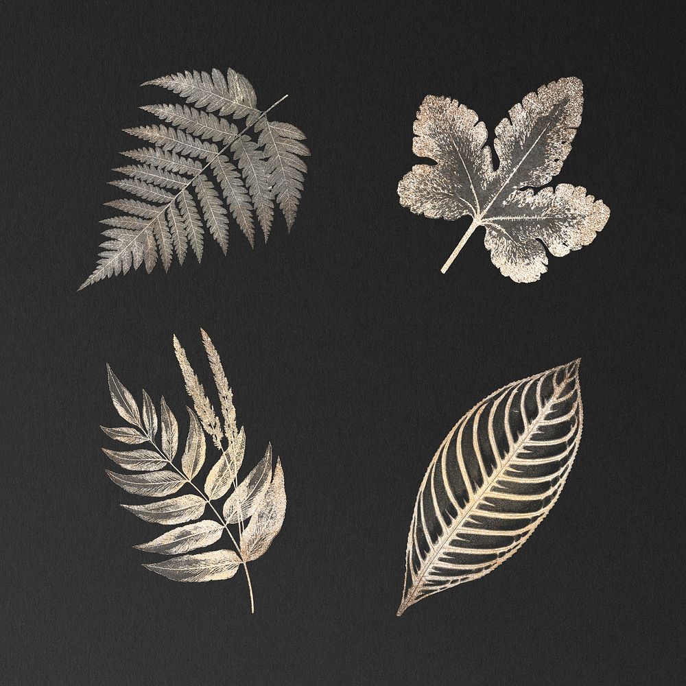 Golden fern leaves collection on a black background