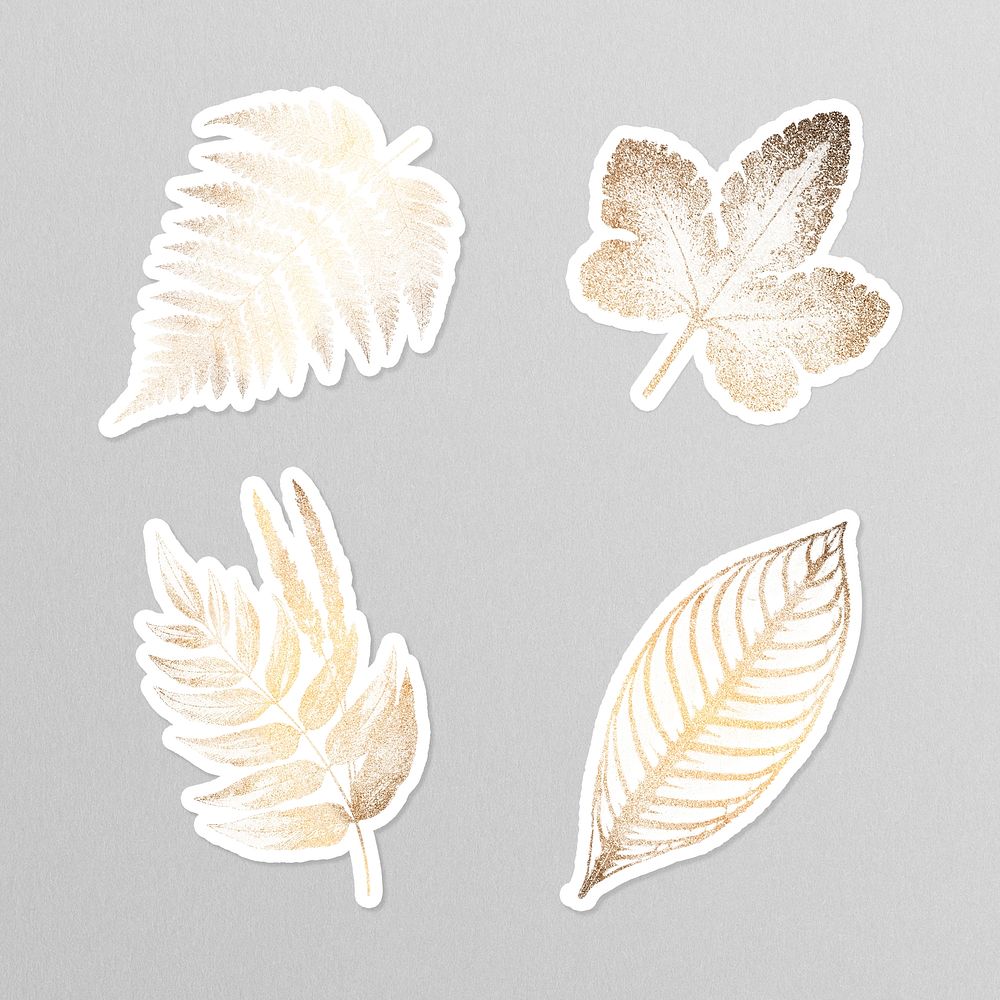Golden fern leaves sticker collection on a gray background
