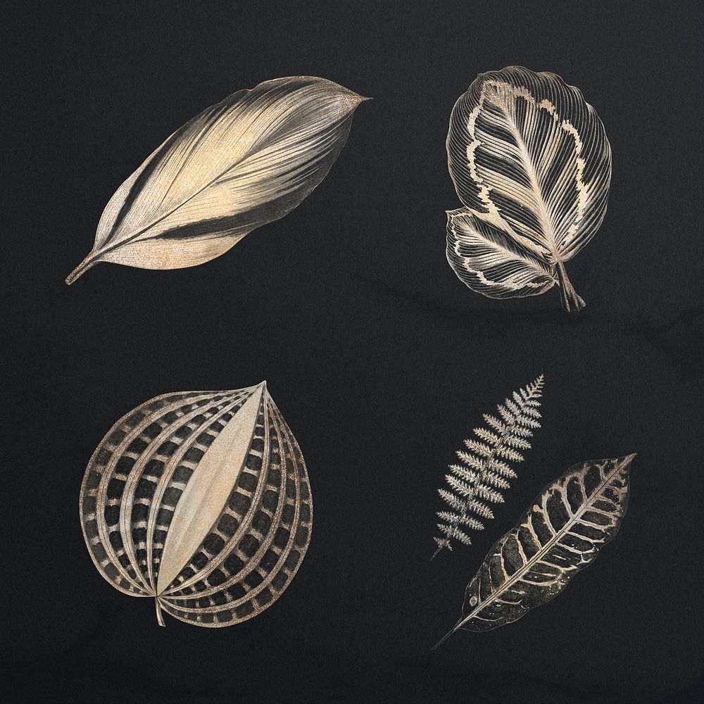 Golden fern leaves collection on a black background 