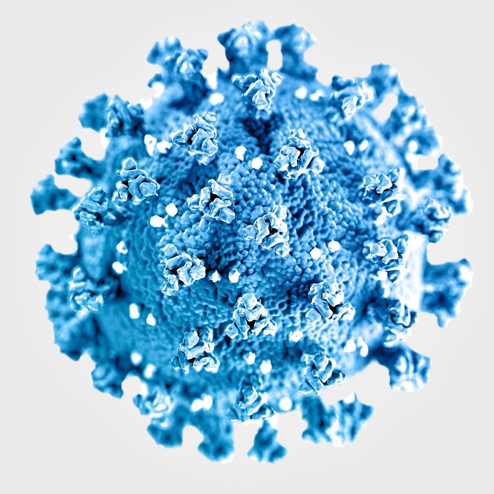 Ultrastructural illustration of coronavirus
