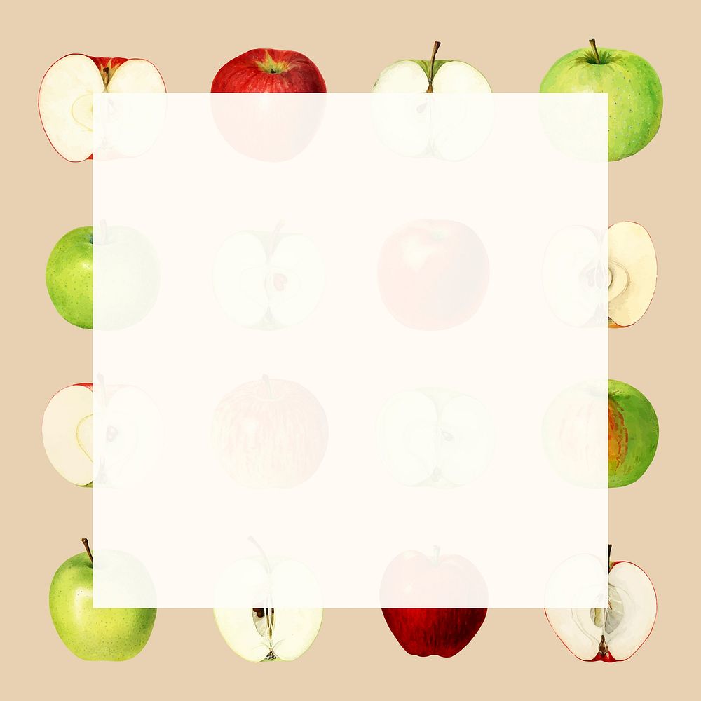 Hand drawn fresh apples frame with copy space vector