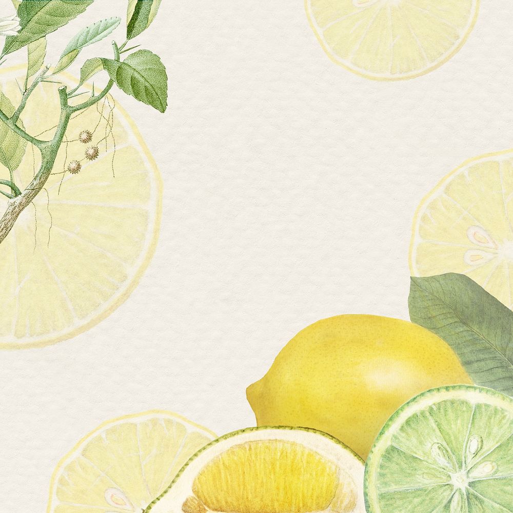 Hand drawn natural fresh lemon patterned frame