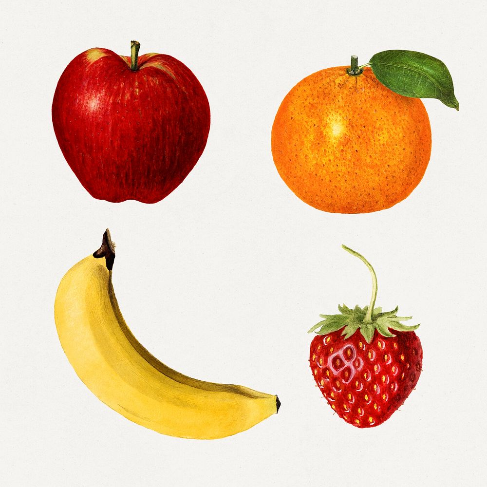 Detailed hand drawn fresh mixed fruits set