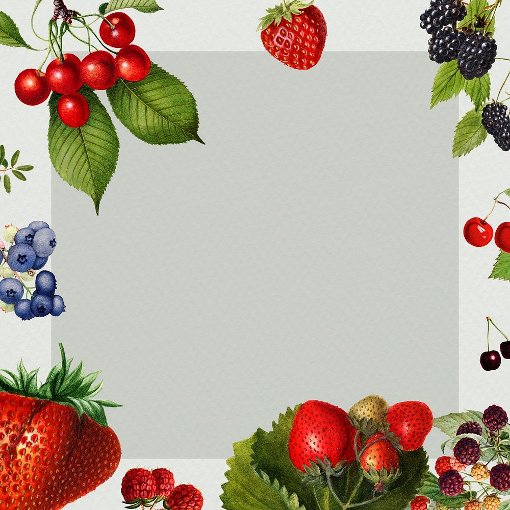 Hand drawn mixed berries frame illustration