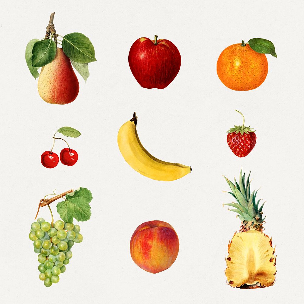 Detailed hand drawn fresh mixed fruits set