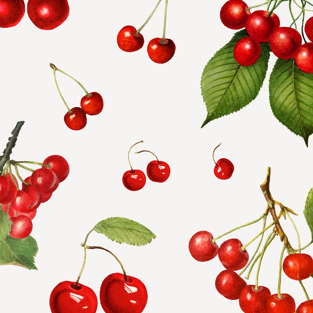Hand drawn natural fresh red cherry patterned background vector