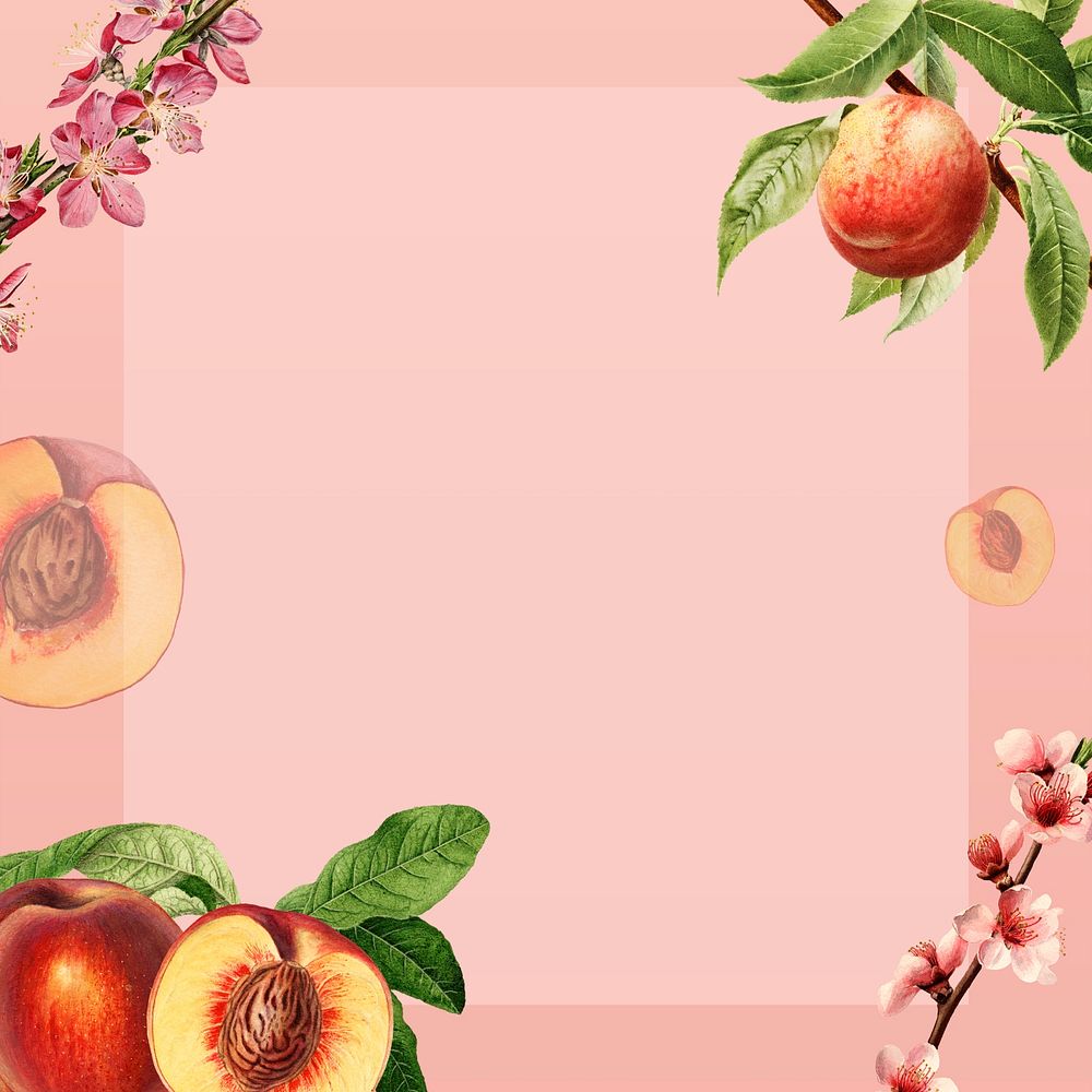 Hand drawn natural fresh peaches background illustration