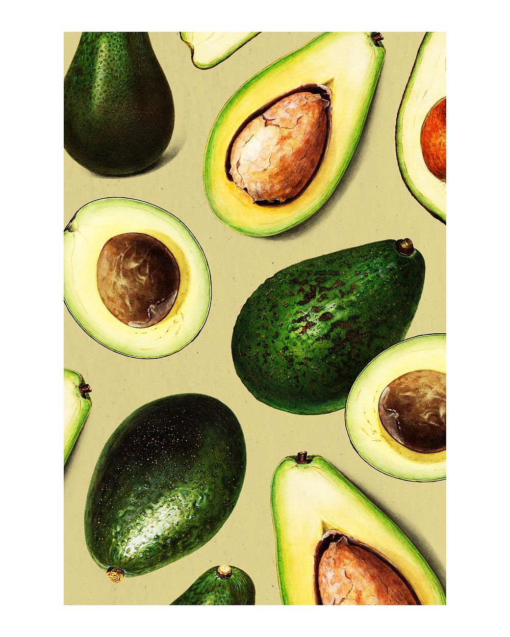 Hand drawn natural fresh avocado