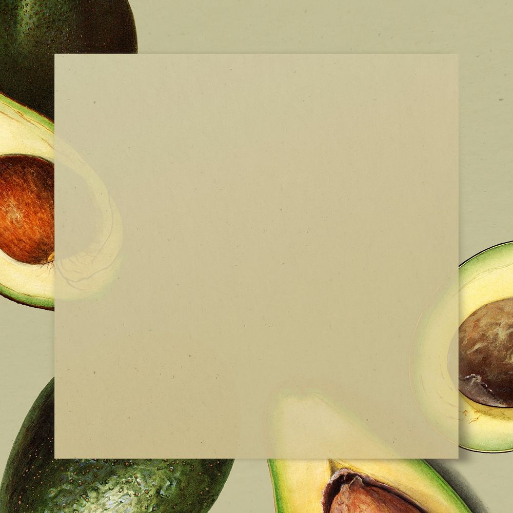 Hand drawn ripe avocado frame with copy space