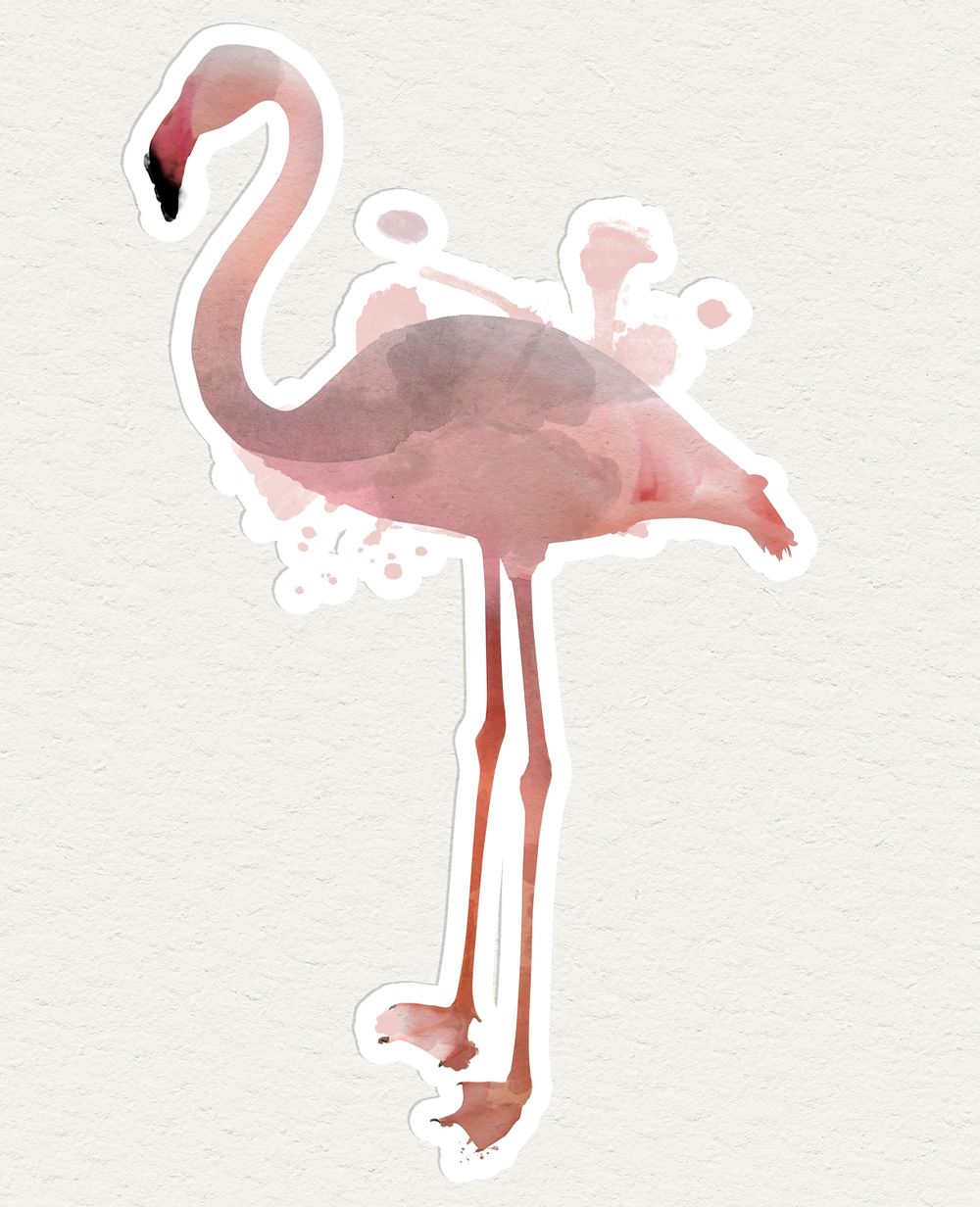 Pink flamingo illustration watercolor style 