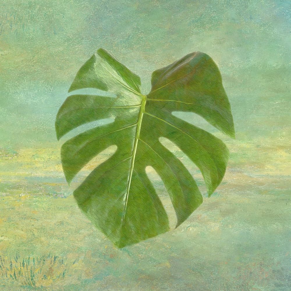 Monstera leaf design element illustration