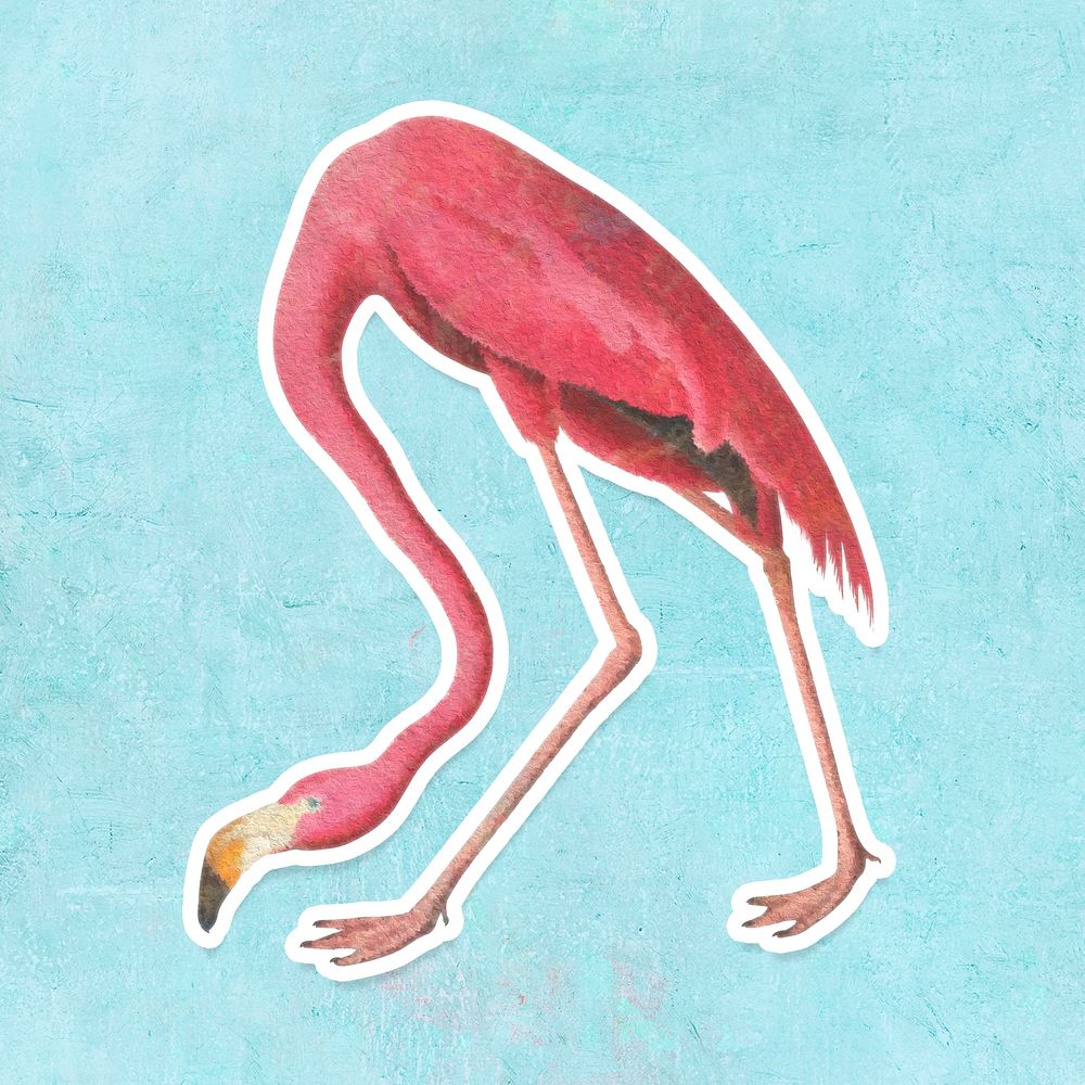 Pink flamingo bird sticker design element illustration