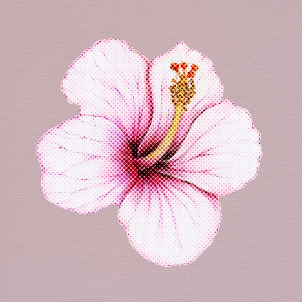 Halftone Hibiscus flower sticker