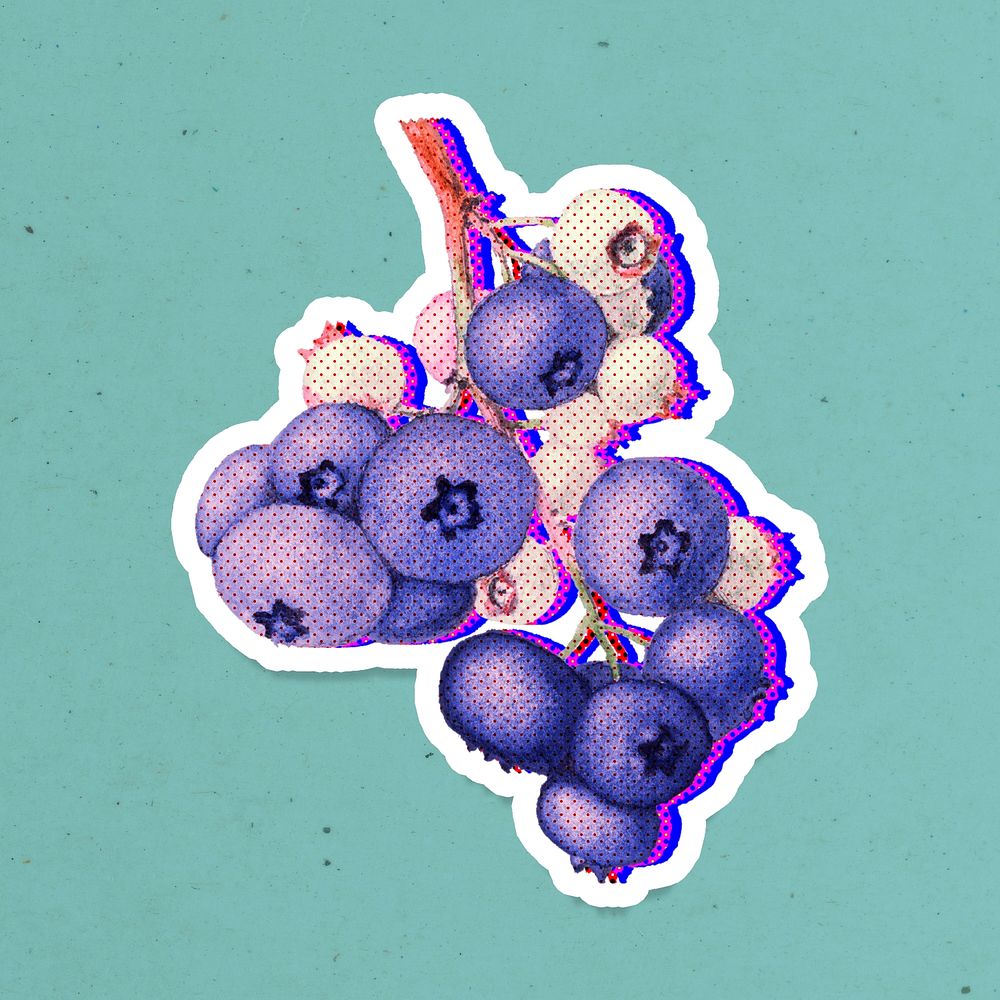 Funky halftone blueberry branch with neon outline sticker with white border