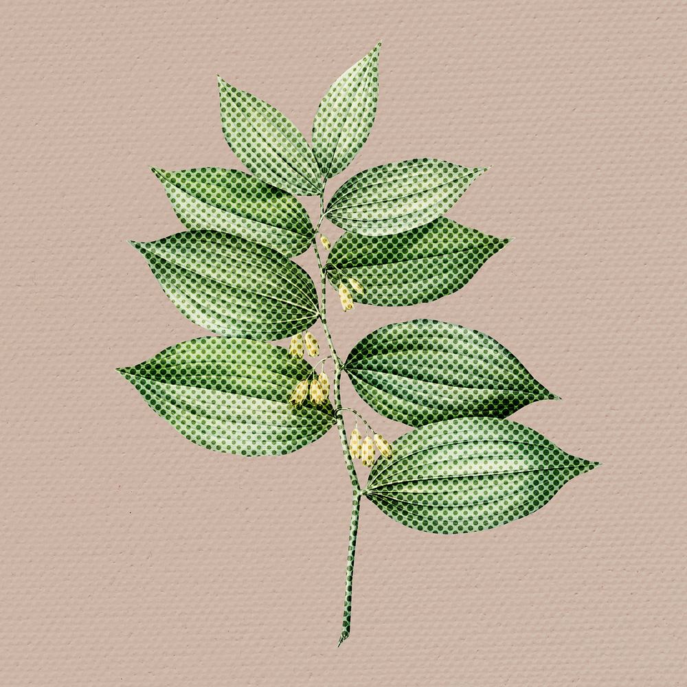 Hand drawn polygonatum flower halftone style illustration