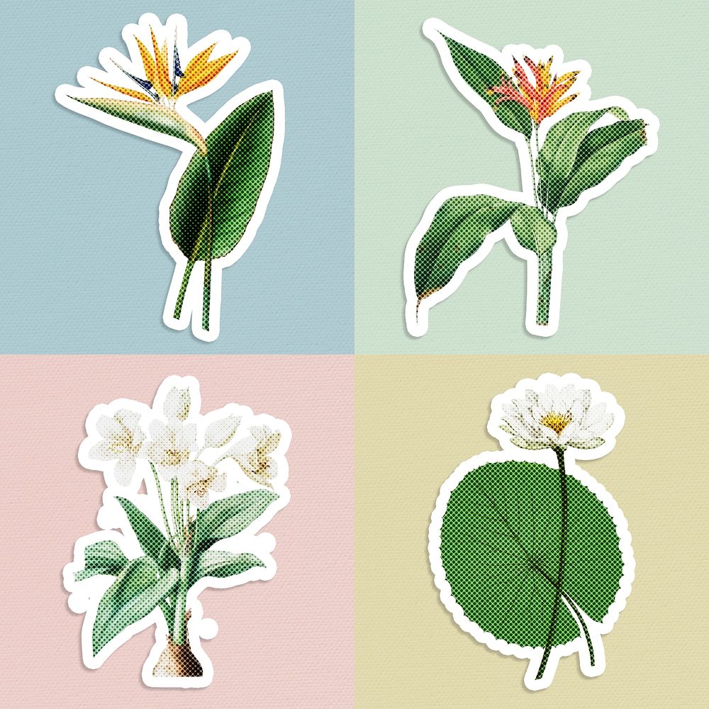 Halftone tropical flower sticker set with a white border