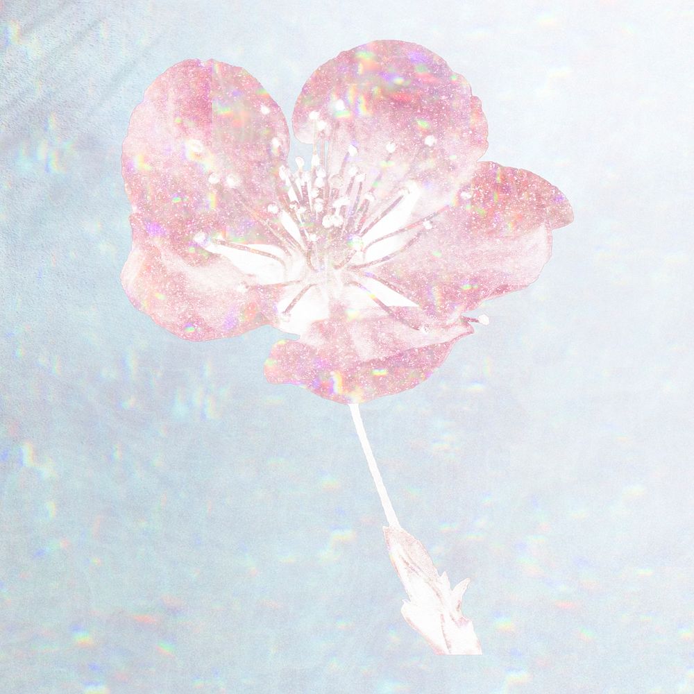 Pink holographic cherry blossom flower design element