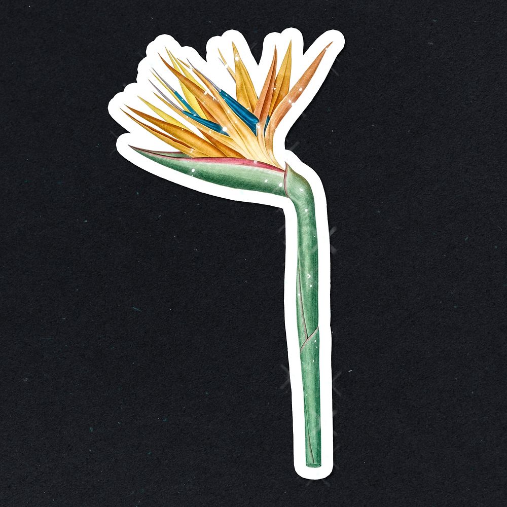 Hand drawn sparkling psd  flower sticker with white border