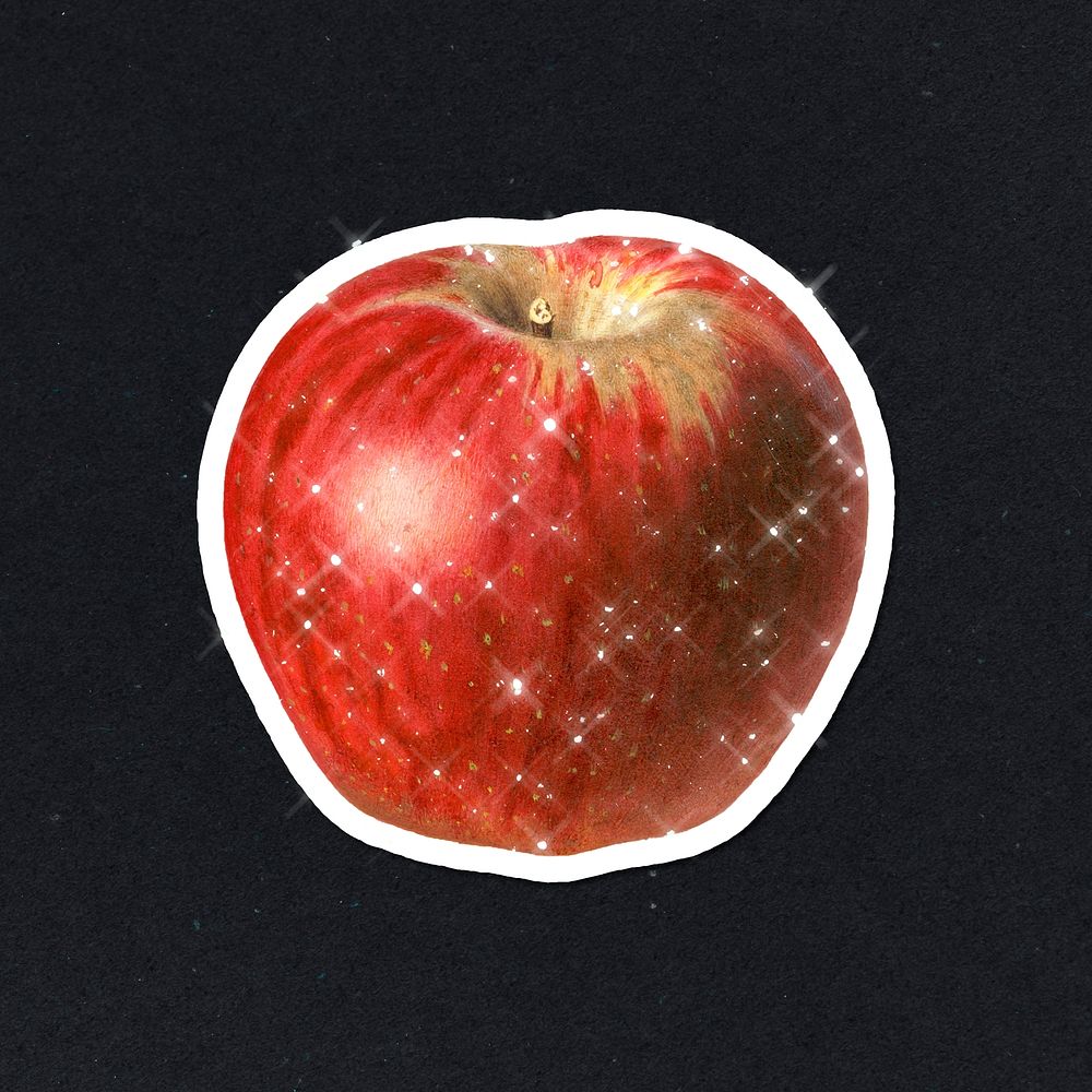 Hand drawn sparkling red apple fruit sticker with white border