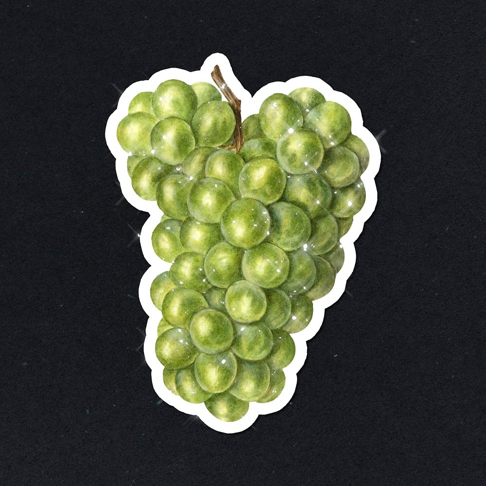 Hand drawn sparkling green grapes fruit sticker with white border