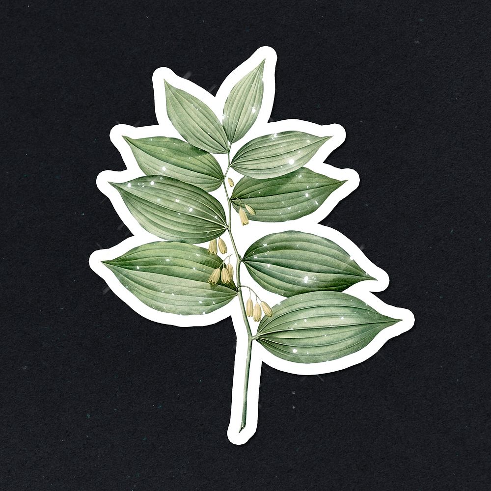 Hand drawn sparkling Solomon's seal sticker with white border