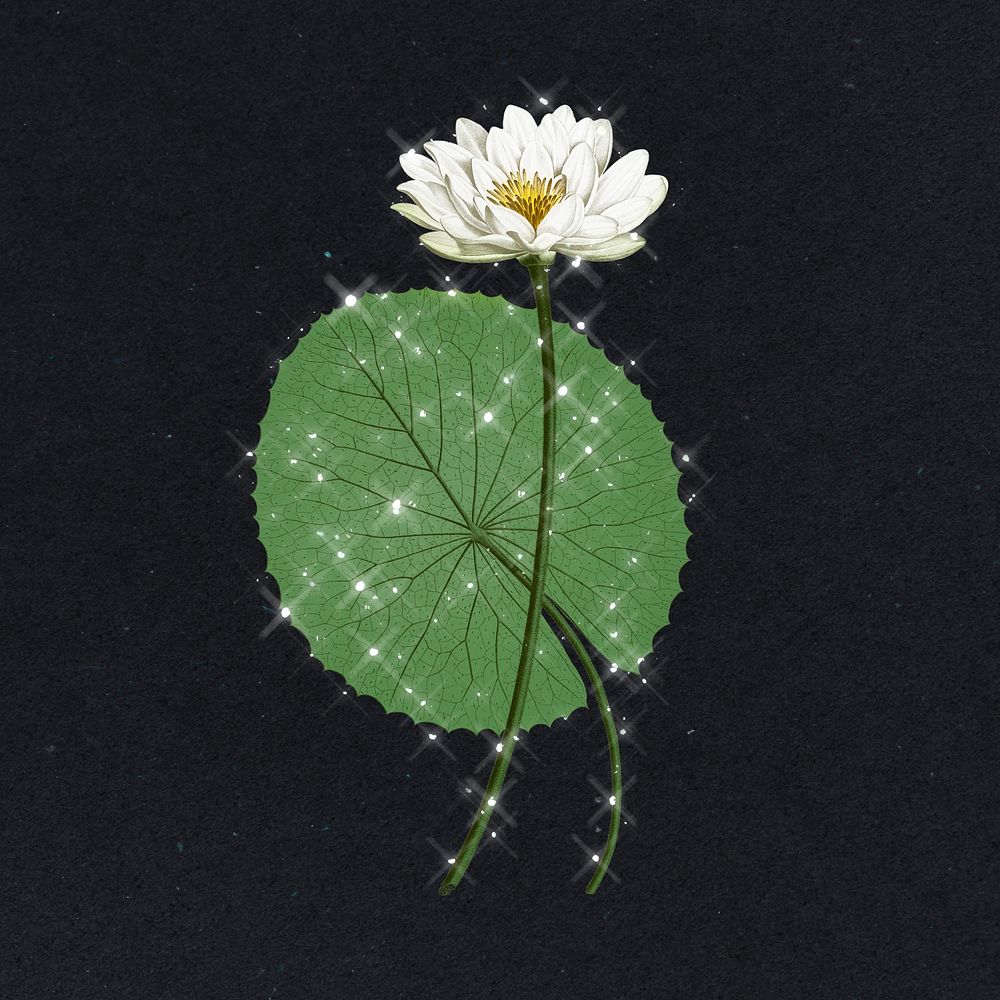Hand drawn sparkling white Egyptian lotus design element