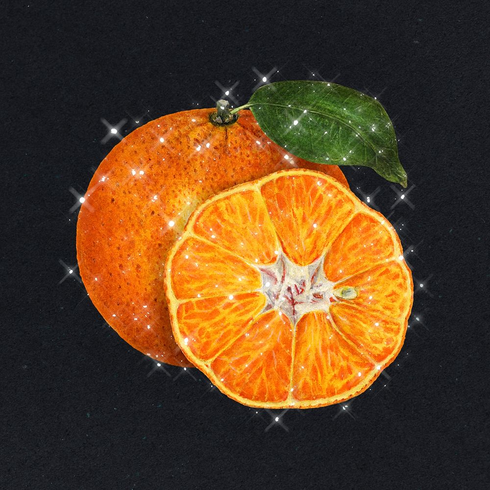 Hand drawn sparkling oranges design element