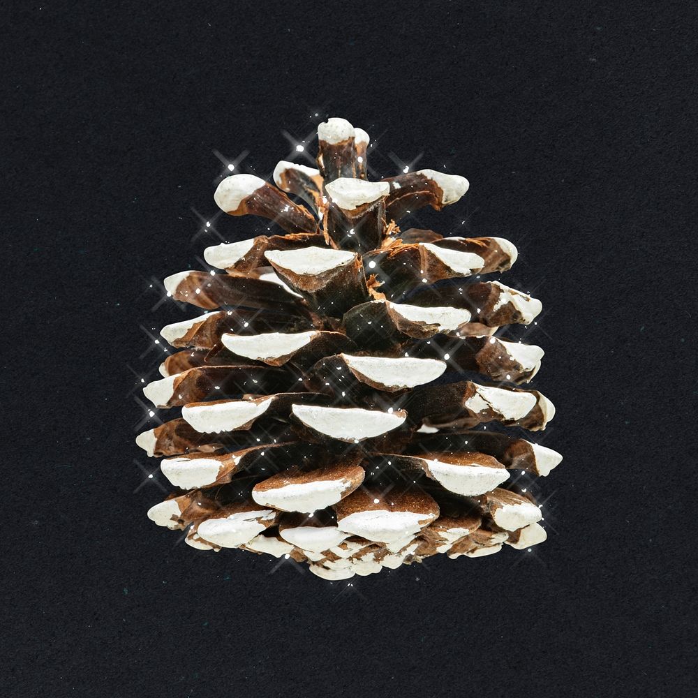 Pine cone glitter sticker design element