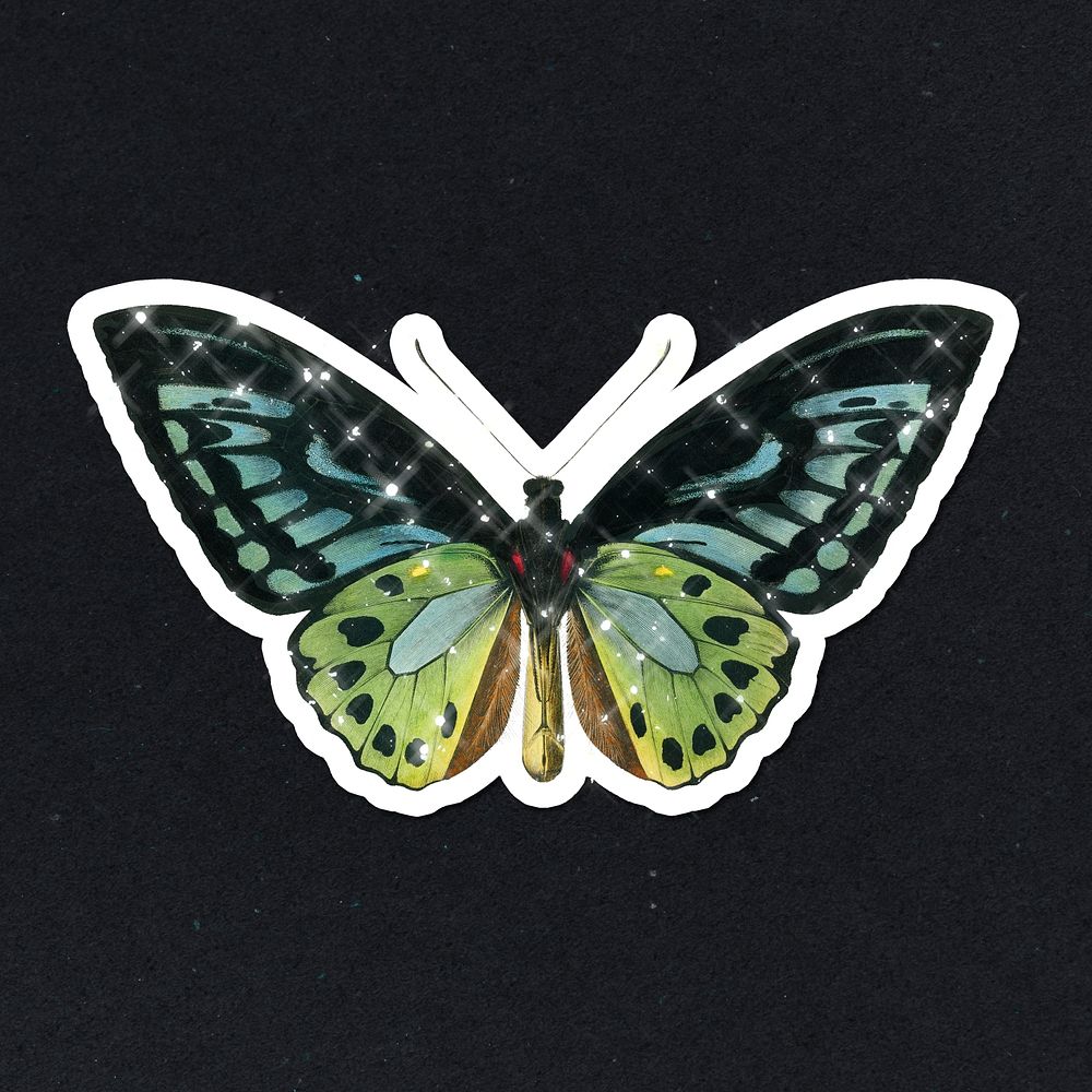 Hand drawn sparkling Green birdwing sticker with white border