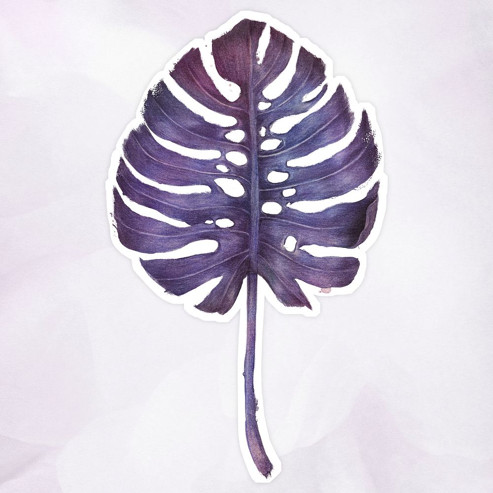 Purple monstera leaf watercolor style sticker illustration with white border