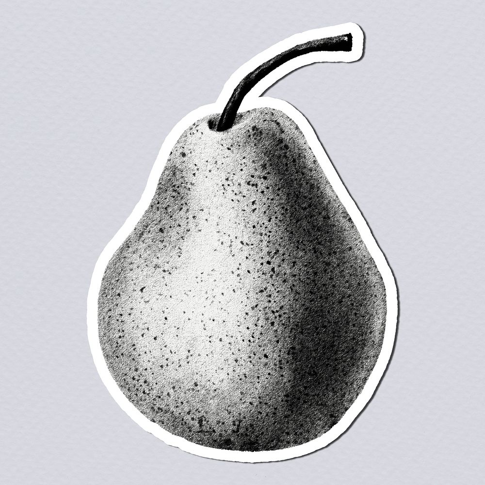 Pear drawing style sticker illustration with white border