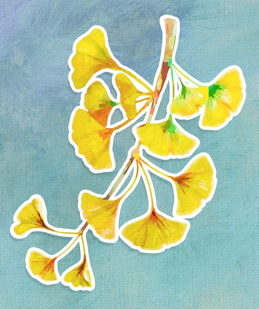 Branch of yellow ginkgo acrylic paint style sticker with white border