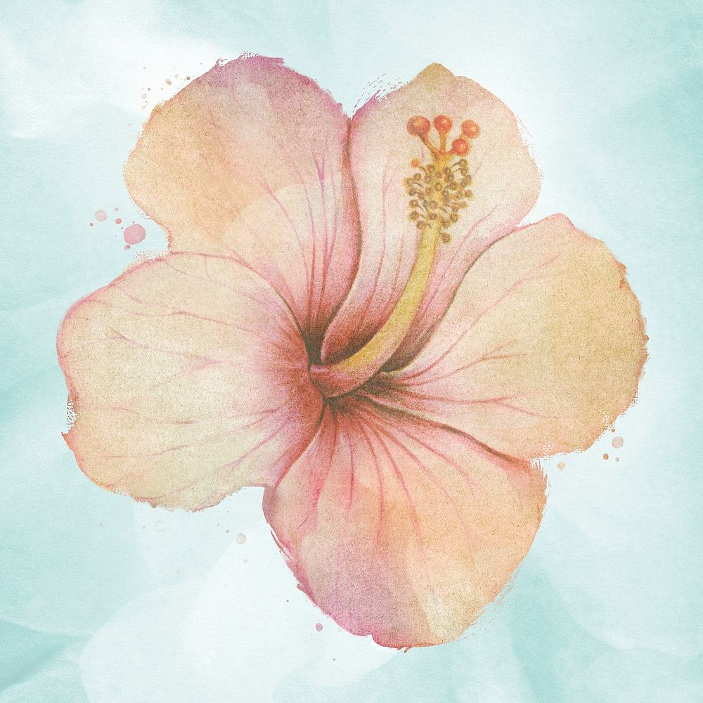 Hand drawn beige hibiscus flower watercolor style  design resource