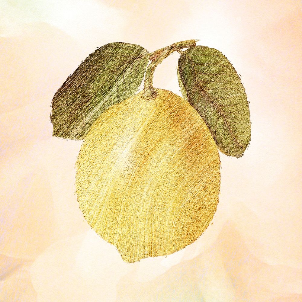 Hand drawn yellow lemon fruit brushstroke style design element