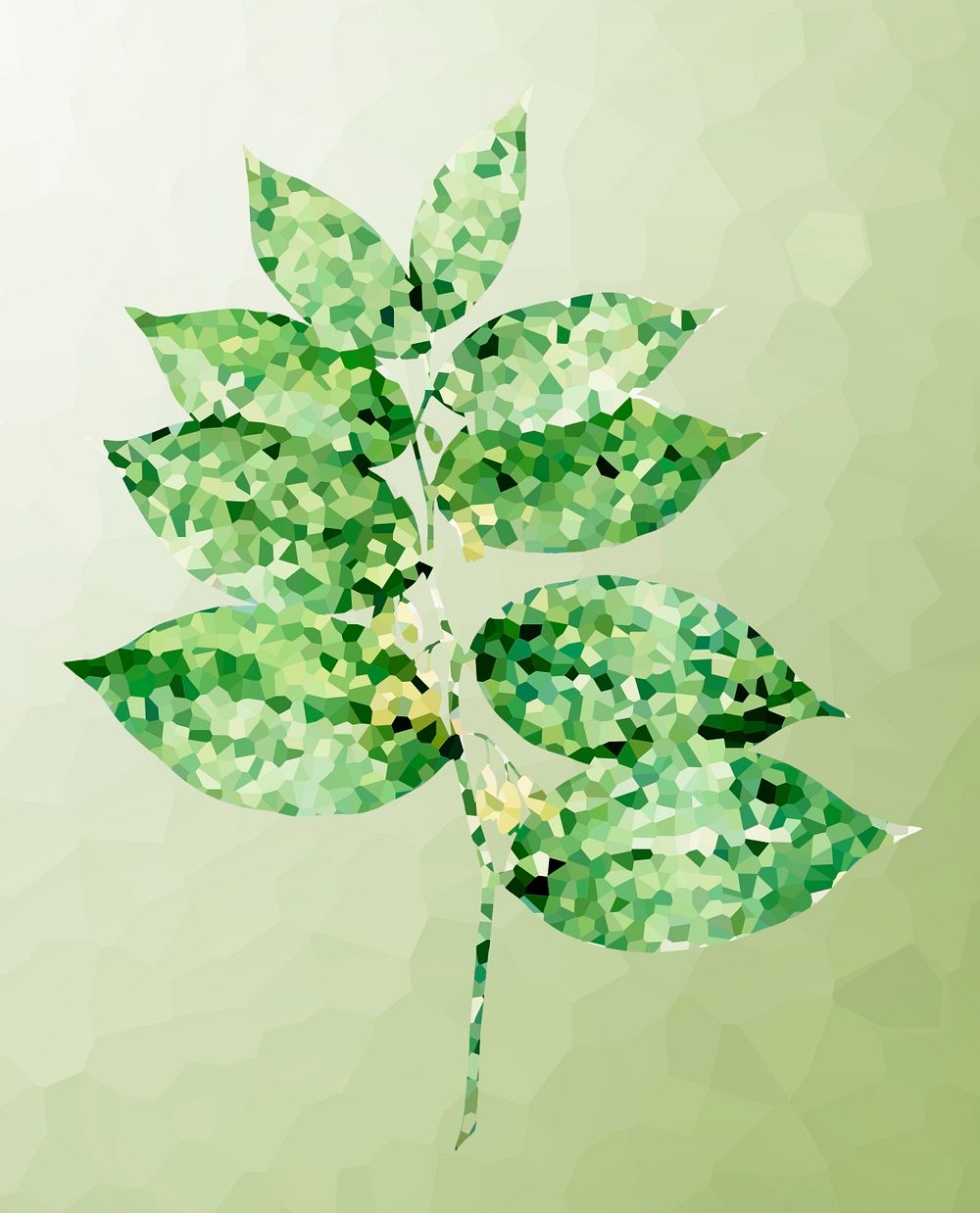 Crystallized polygonatum flower illustration