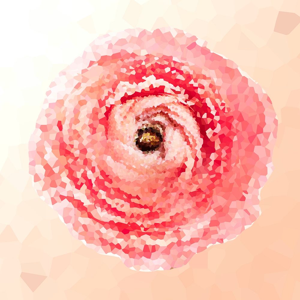 Crystallized ranunculus flower illustration