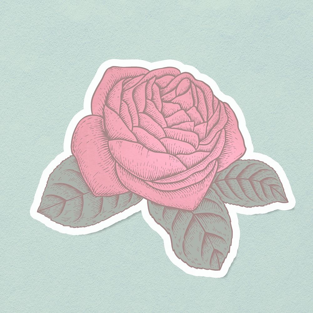 Red rose flower sticker overlay with a white border design resource