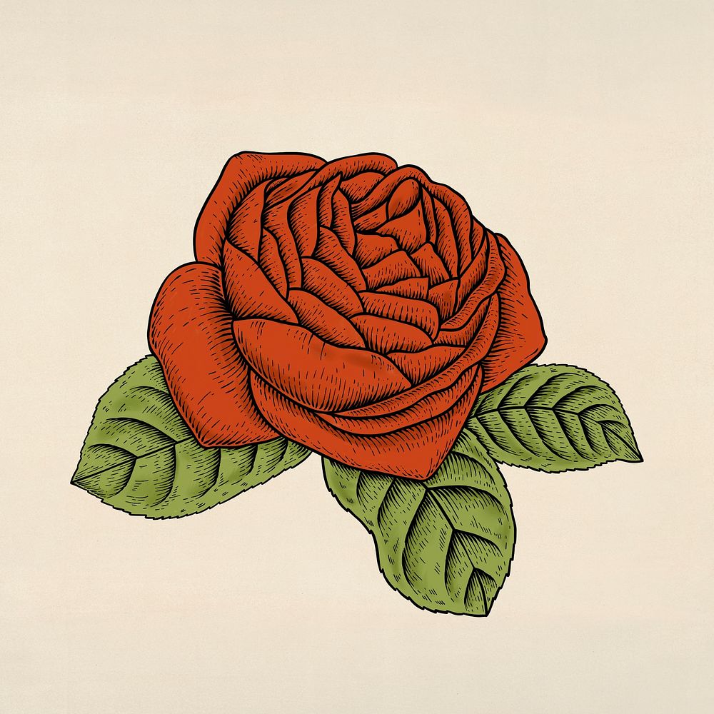 Orange rose flower sticker design resource 