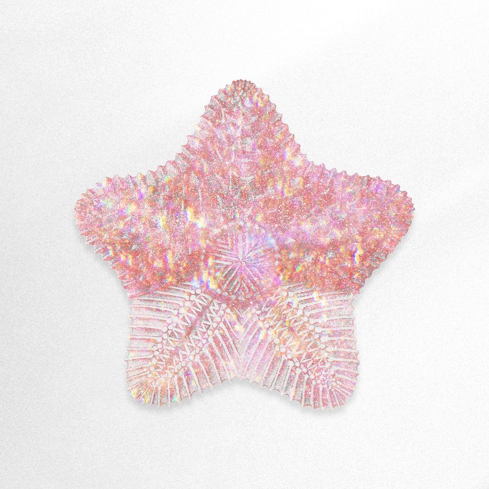 Pink holographic starfish sticker design element