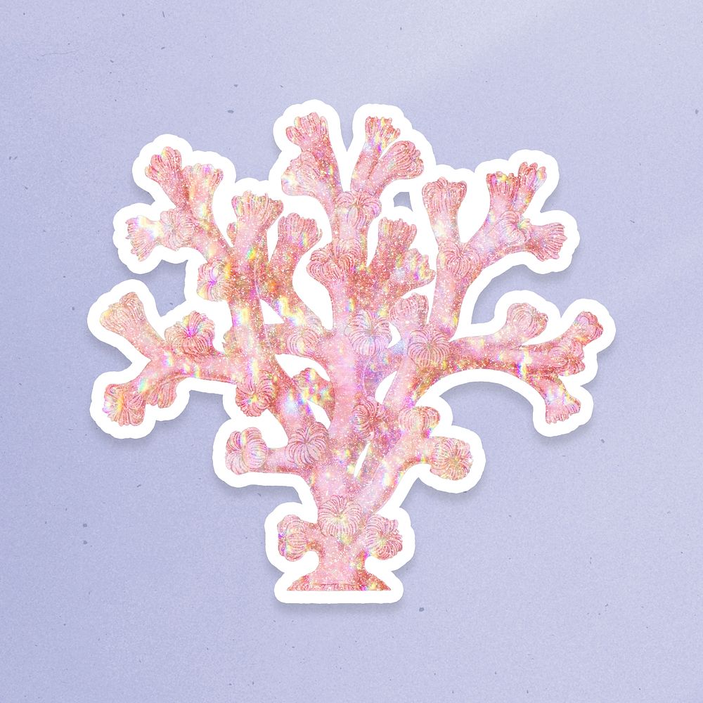 Pink holographic coral sticker with a white border