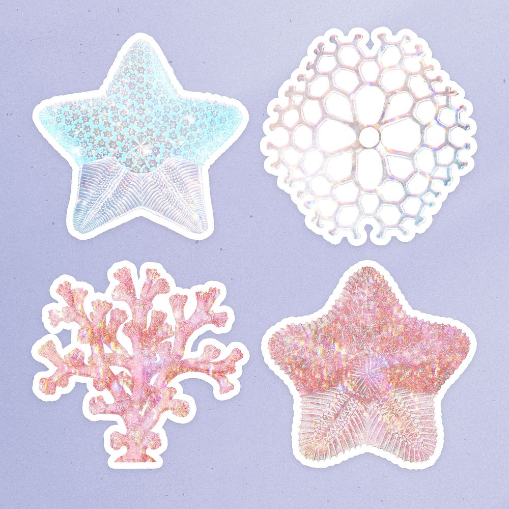 Set of holographic marine life sticker overlay design resource