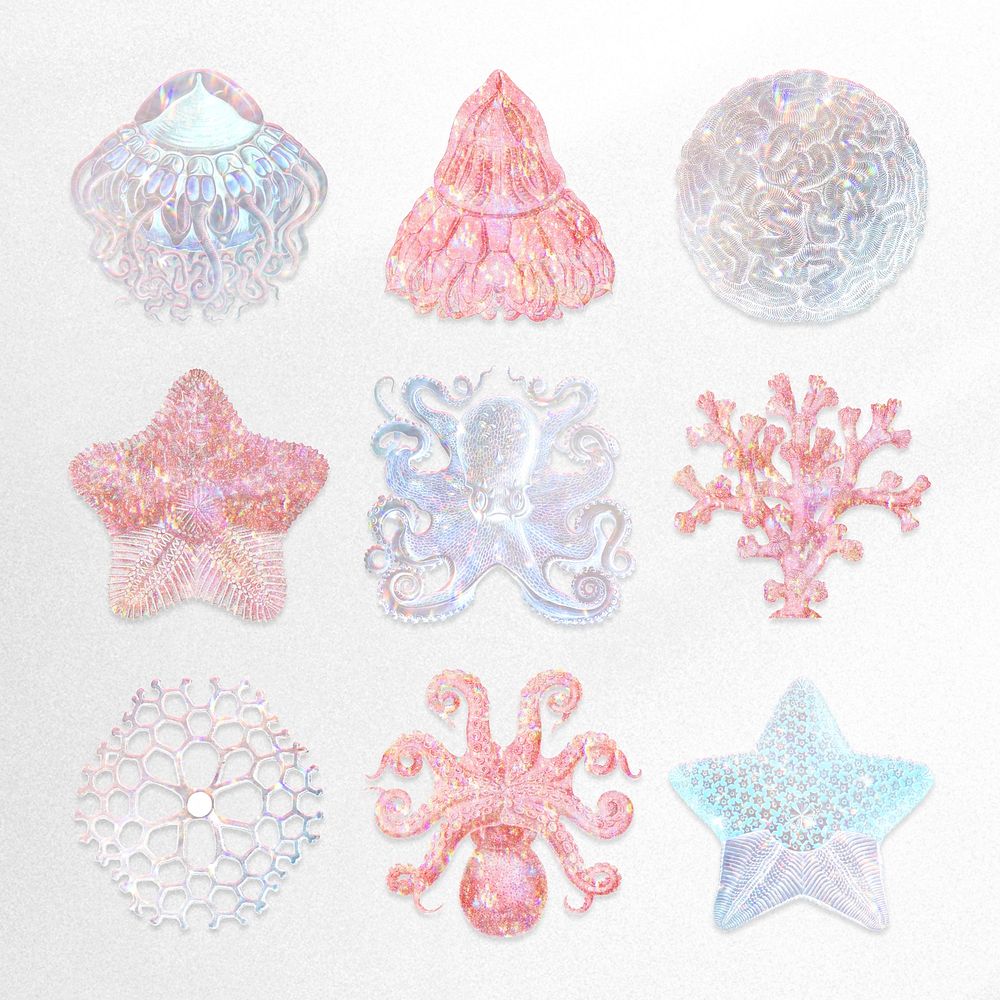 Set of holographic marine life sticker overlay design resource