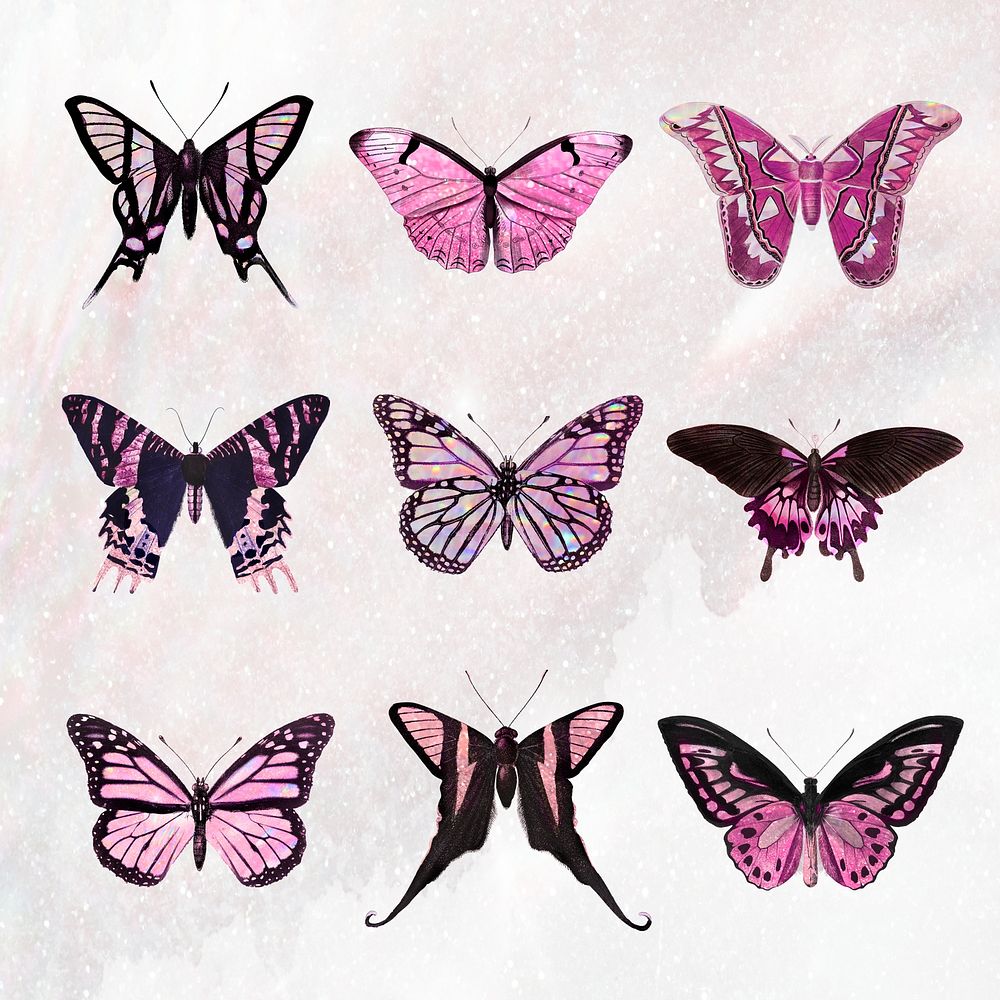 Pink holographic and glittery butterfly design element set