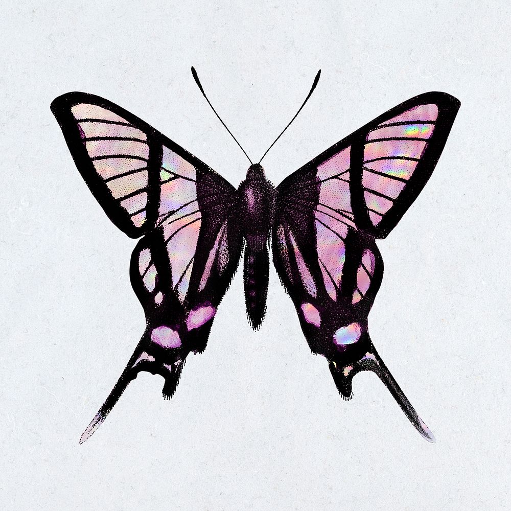 Pink holographic butterfly on a white background