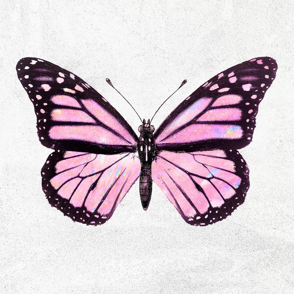 Pink holographic Monarch butterfly on a white background