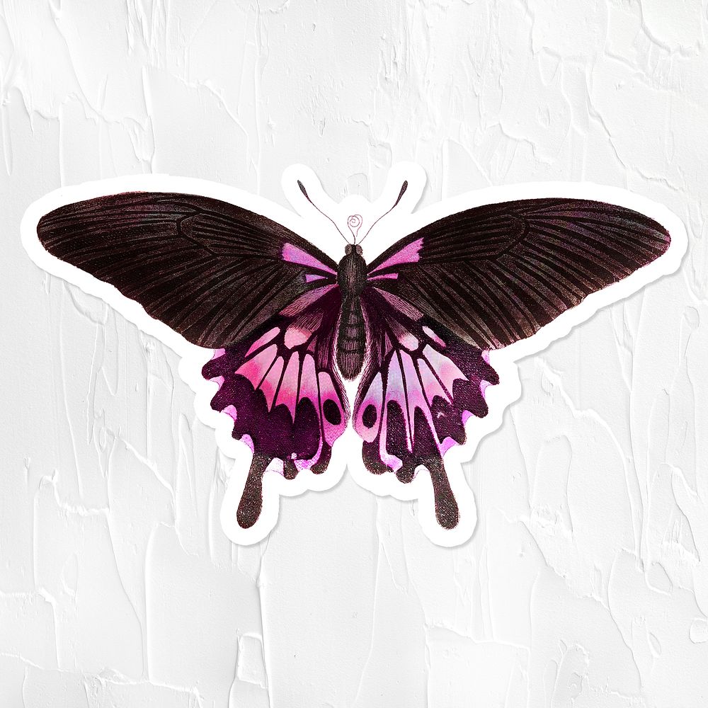 Pink butterfly with a white border sticker