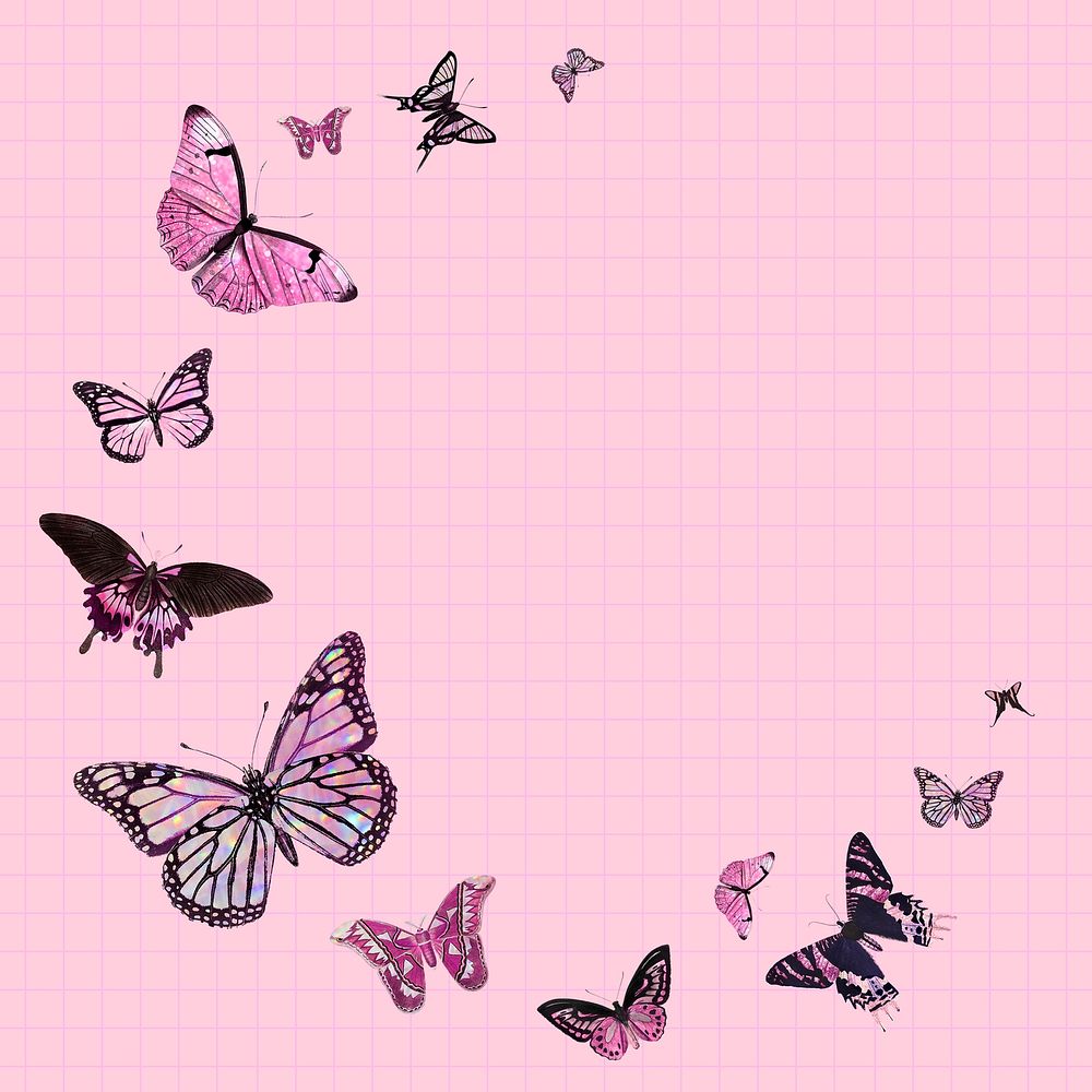 Circle pink butterfly frame design element