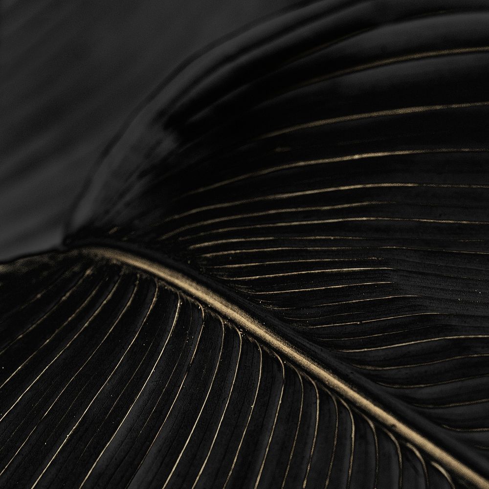 Golden bird of paradise leaf textured background design resource