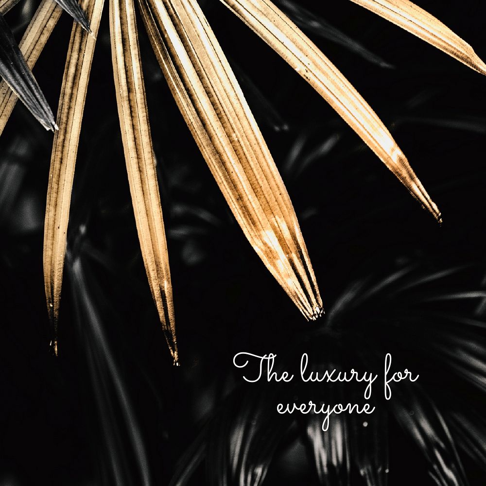 The luxury for everyone on a golden palm leaves background design resource 
